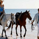 Westin Punta Cana Resort and Club offers Horse Riding packages